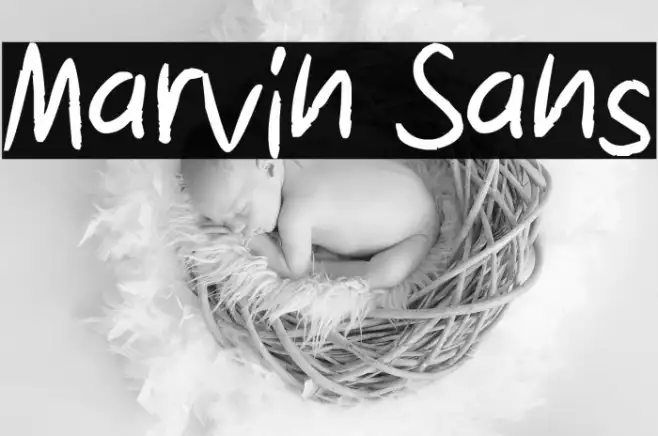 Marvin Sans Example 1