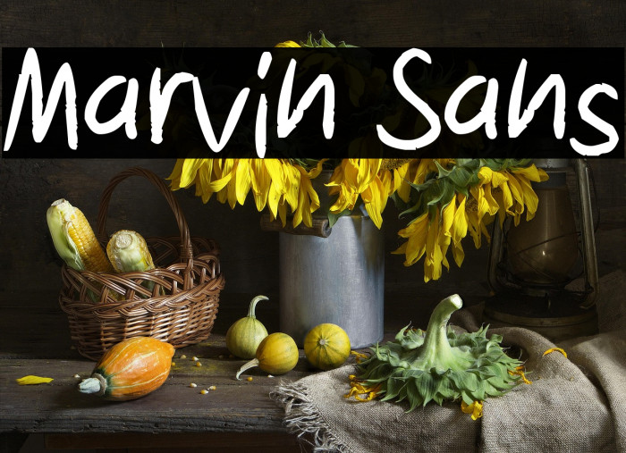 Marvin Sans Example 2