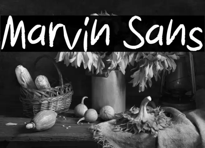 Marvin Sans Example 2