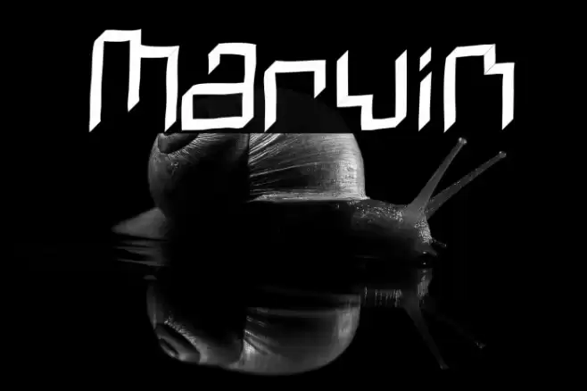 Marvin Font examples