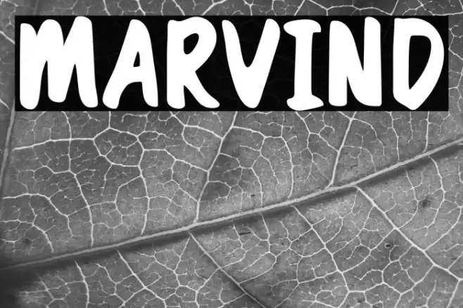 Marvind Example 2