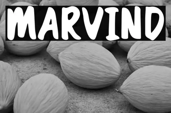Marvind Example 3