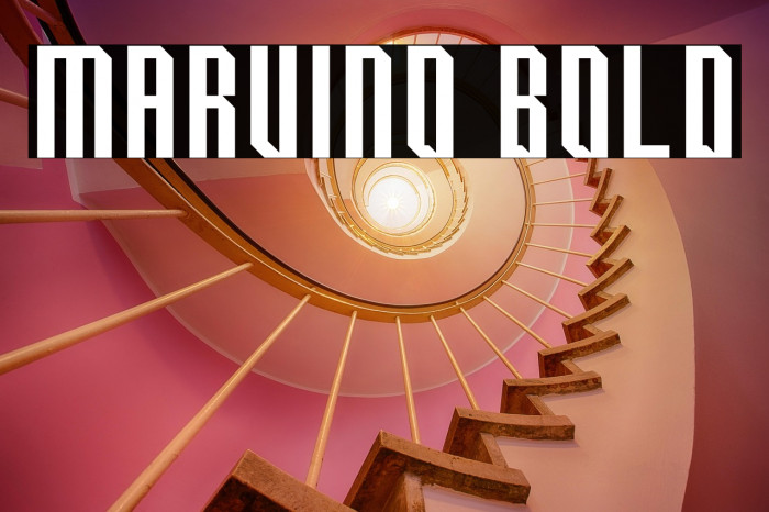 Marvino Bold Example 1