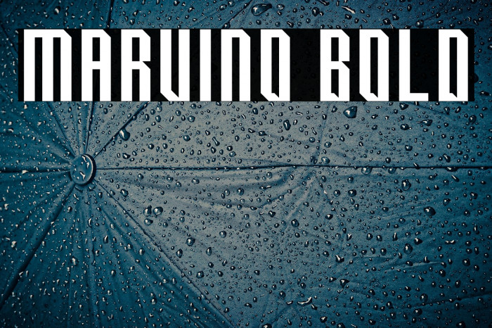 Marvino Bold Example 2