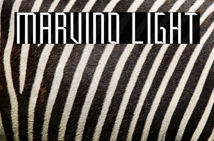 Marvino Light Example 2