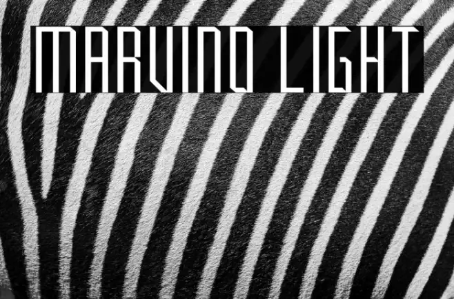 Marvino Light Example 2