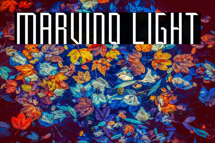 Marvino Light Example 3