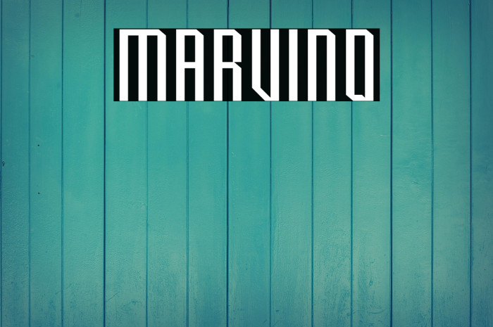 Marvino Example 1