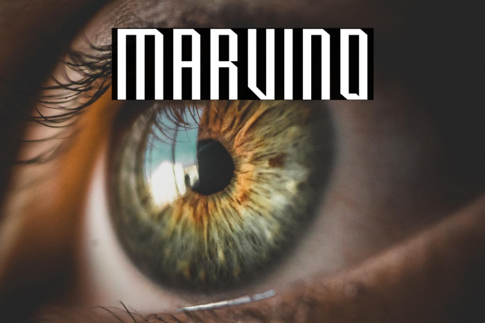 Marvino Example 2