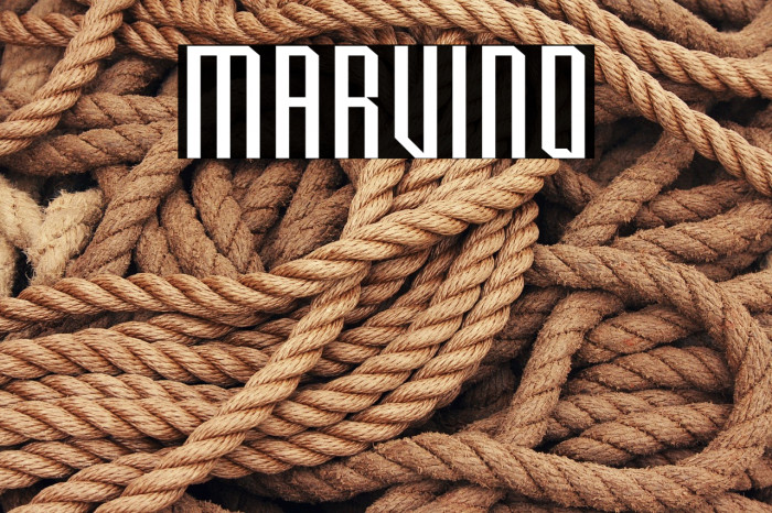 Marvino Example 3