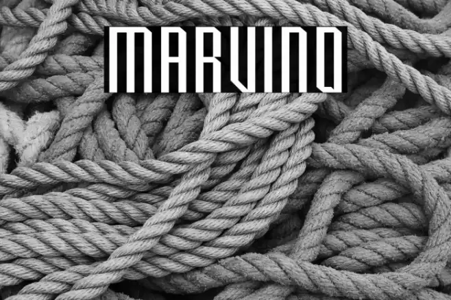 Marvino Font examples
