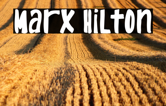 Marx Hilton Example 1