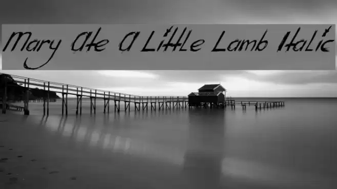 Mary Ate A Little Lamb Italic Font examples