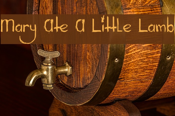 Mary Ate A Little Lamb Font examples
