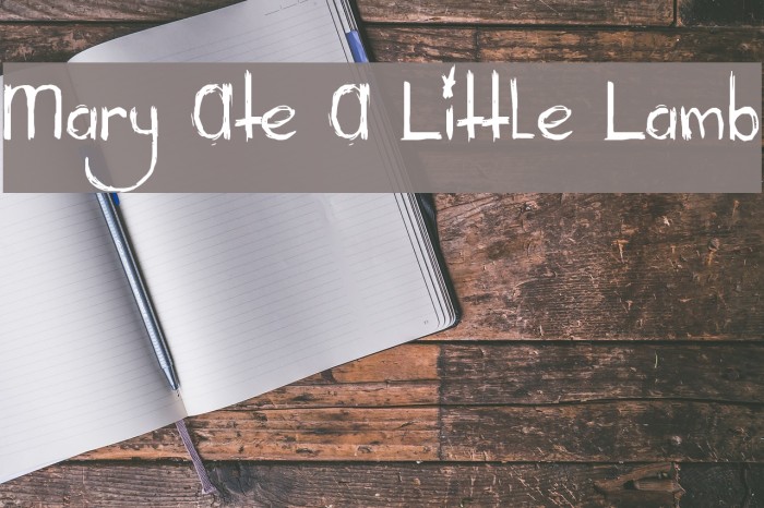Mary Ate A Little Lamb Font examples