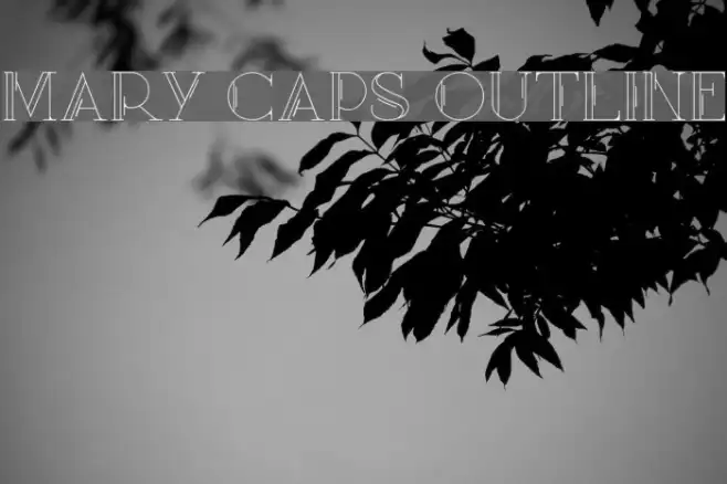 Mary [CAPS] Outline Example 1