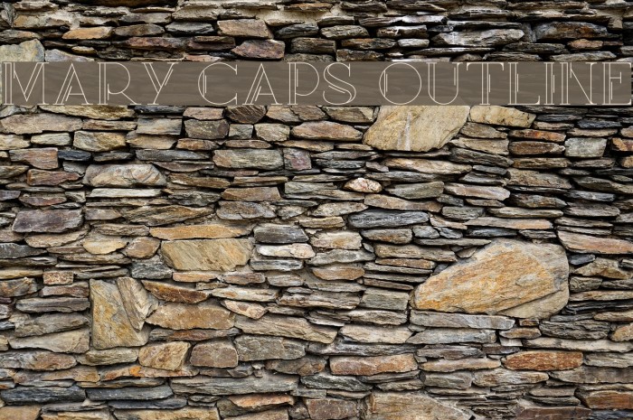 Mary [CAPS] Outline Example 2