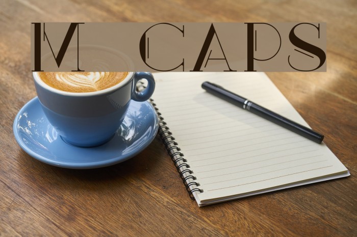 Mary [CAPS] Example 1