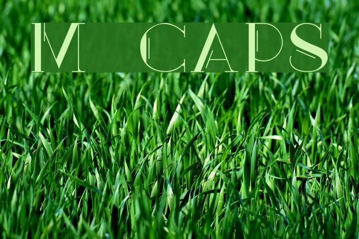 Mary [CAPS] Example 2