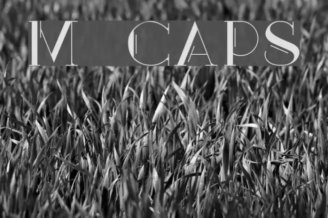 Mary [CAPS] Example 2