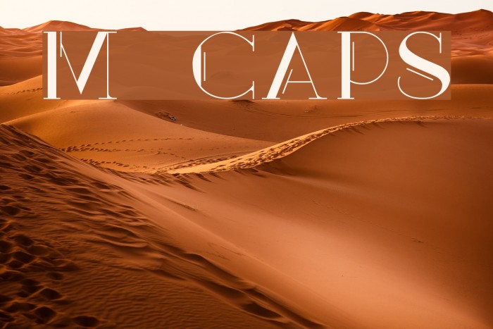 Mary [CAPS] Example 3