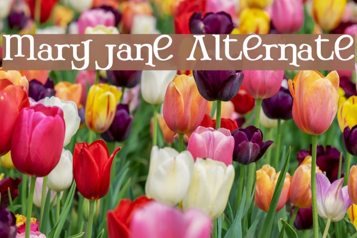 Mary Jane Alternate Font examples