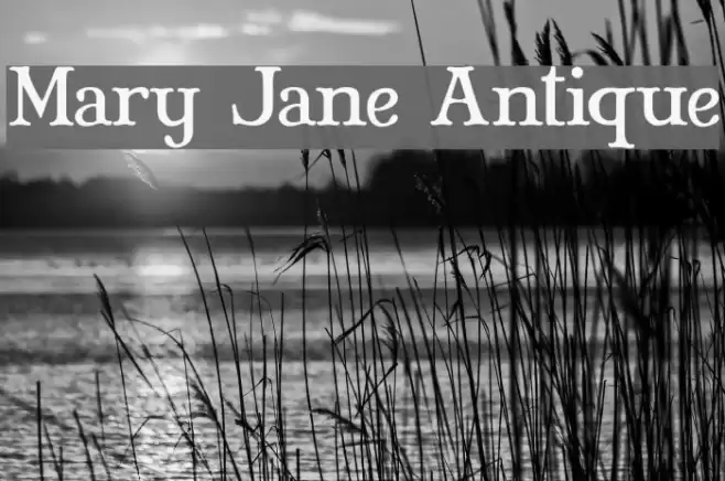 Mary Jane Antique Font examples