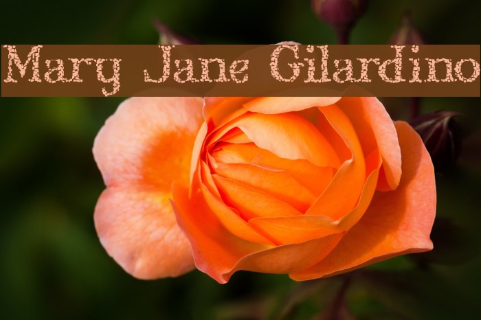Mary Jane Gilardino Font examples