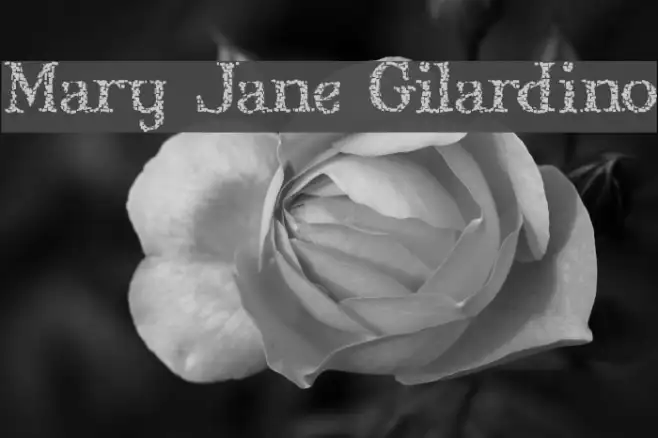 Mary Jane Gilardino Example 1