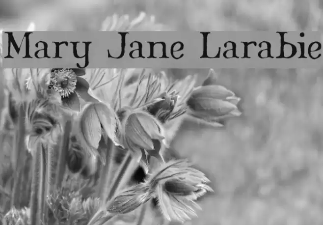 Mary Jane Larabie Font examples