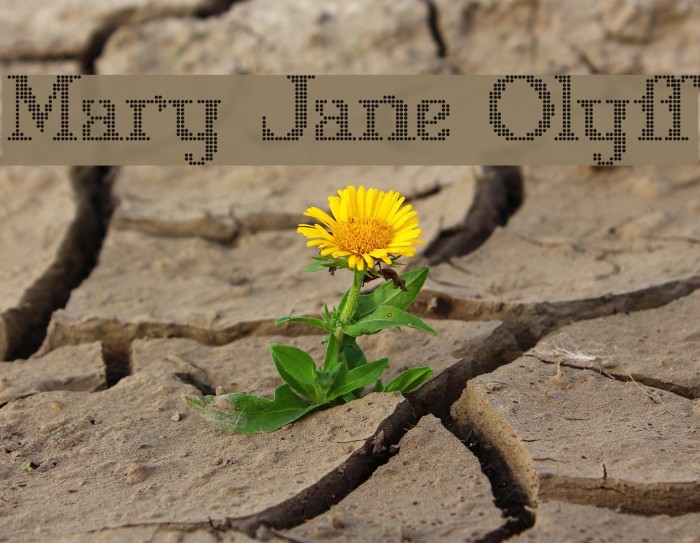 Mary Jane Olyff Schriftart examples