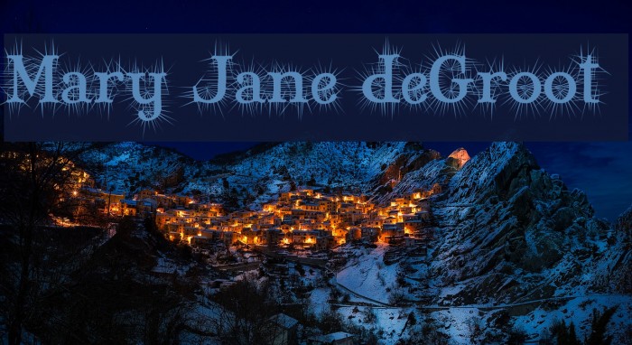 Mary Jane deGroot Polices examples