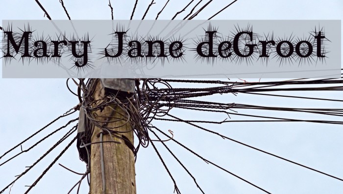 Mary Jane deGroot Polices examples