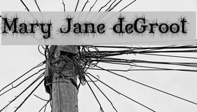 Mary Jane deGroot Caratteri examples