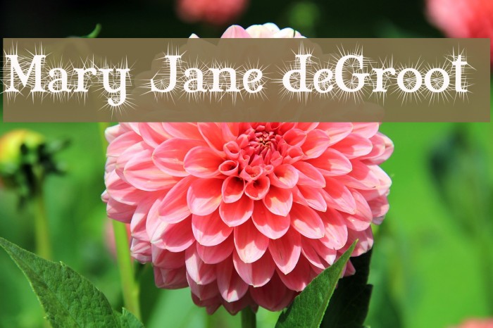 Mary Jane deGroot Polices examples