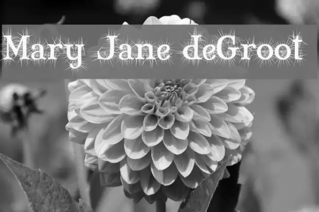 Mary Jane deGroot Caratteri examples