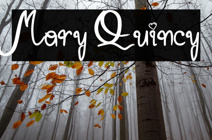 Mary Quincy Example 1