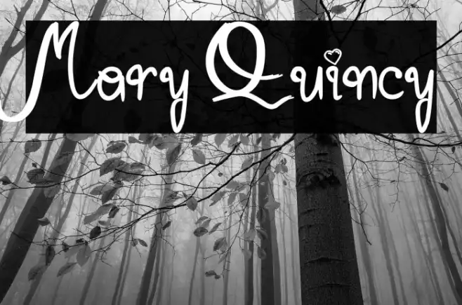 Mary Quincy Example 1