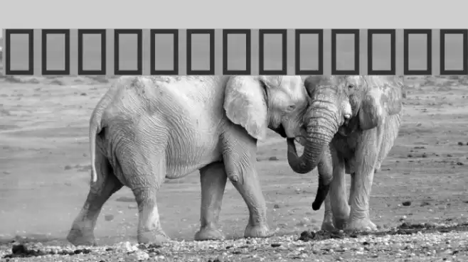 Maryam Font examples