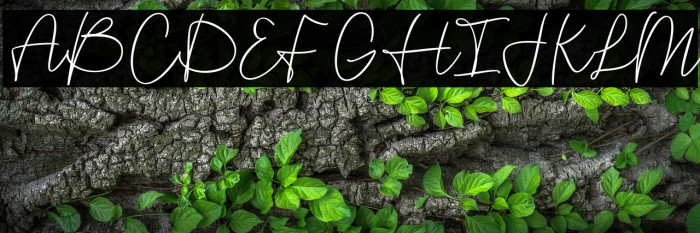 Maryanne Signature Example 1