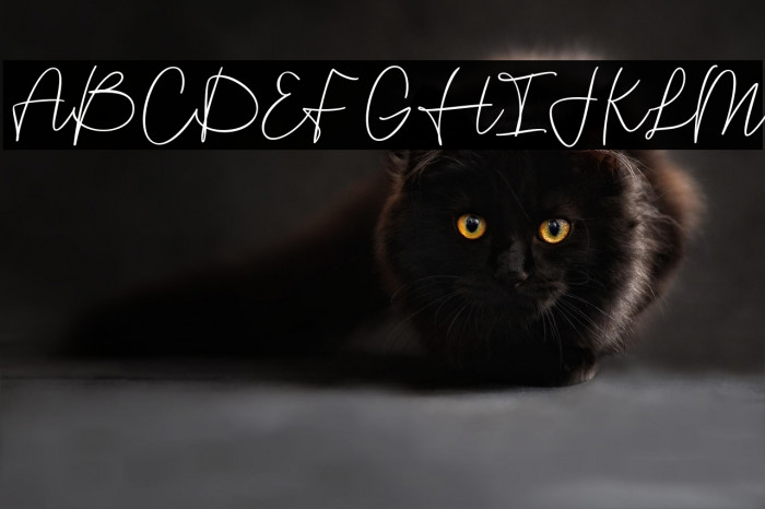 Maryanne Signature Example 3