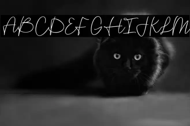 Maryanne Signature Font examples