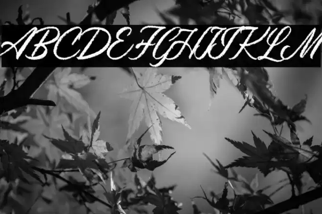 MaryathaDemo-Regular Font examples