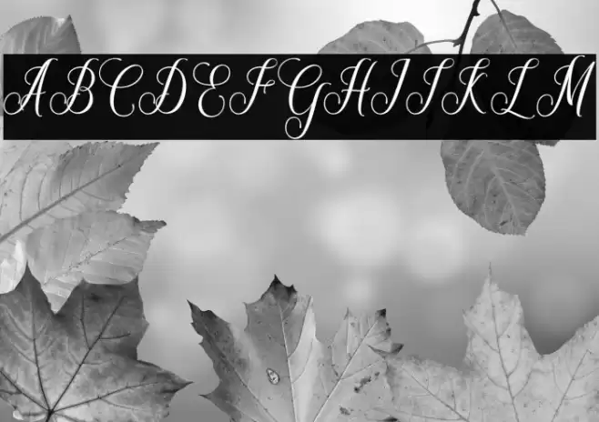 Maryellen Font examples