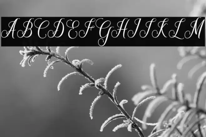 Maryellen Font examples