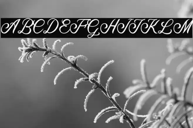 Maryland Font examples