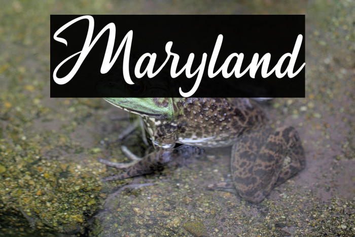 Maryland Example 3