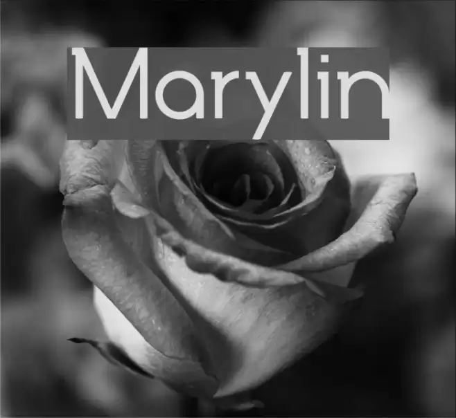 Marylin Font examples