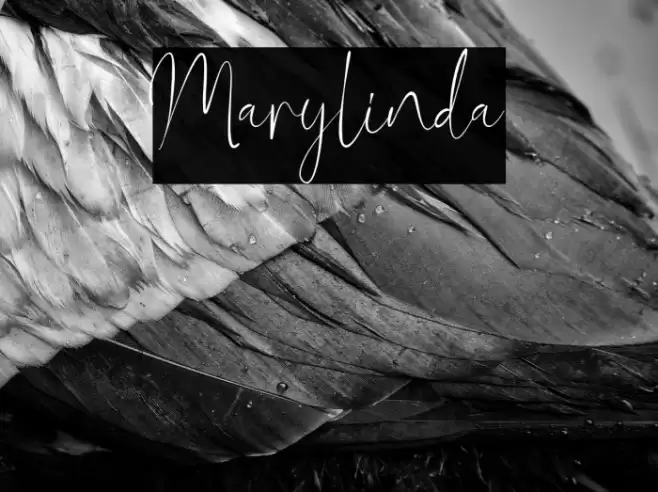 Marylinda Font examples