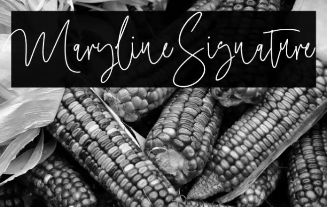 MarylineSignature Example 1